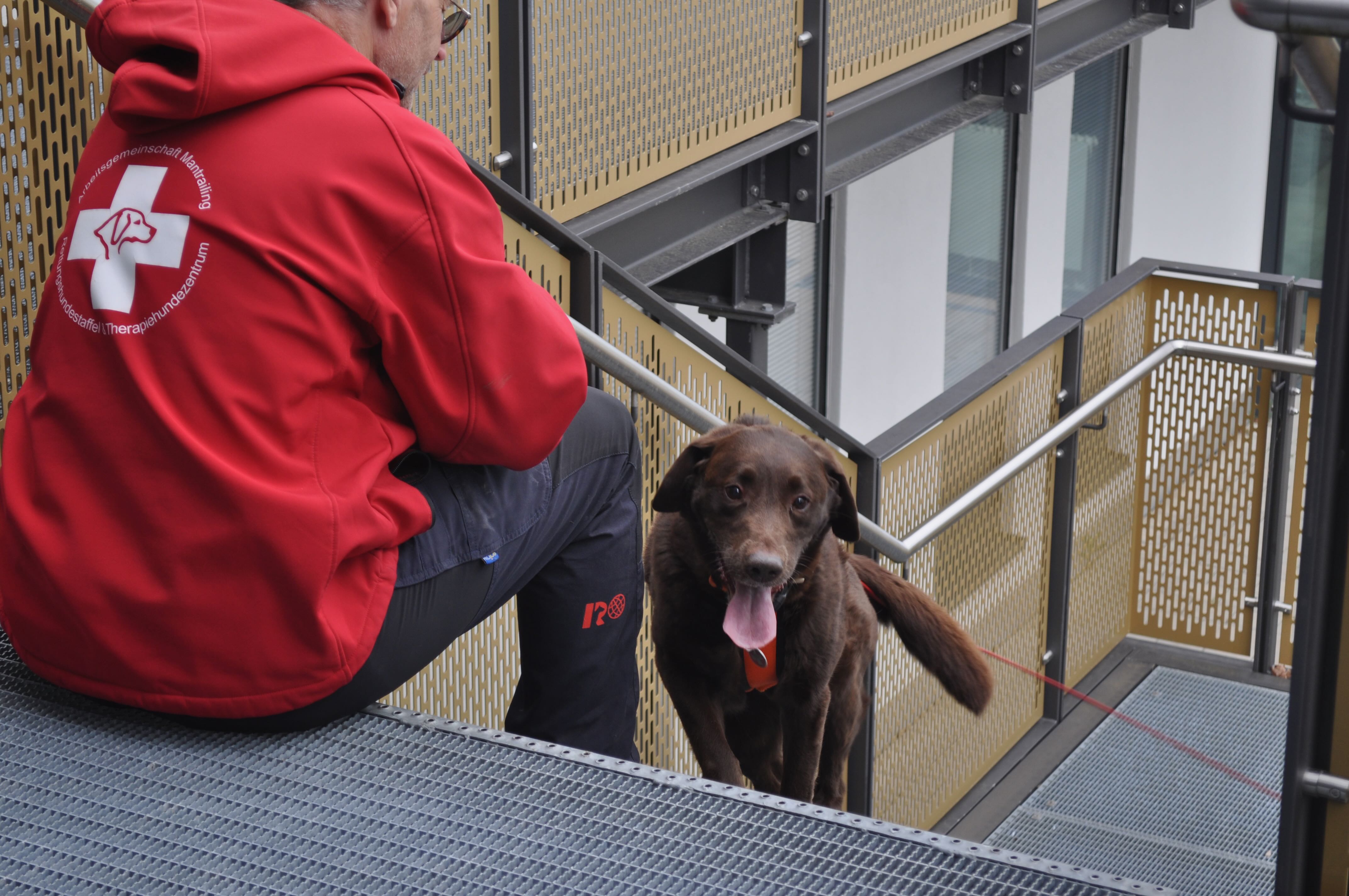 Bahnfahren mit Hund