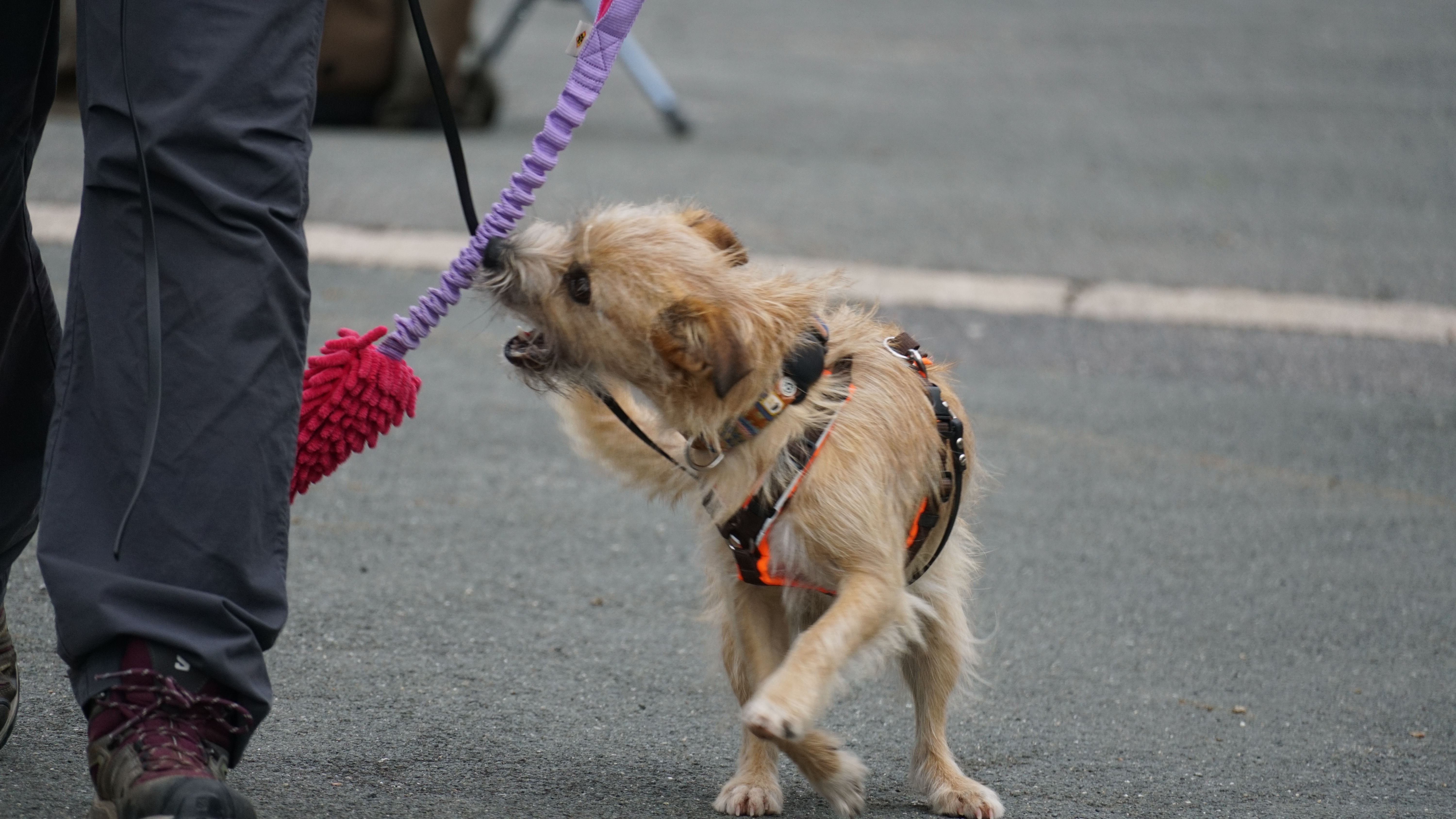 Zecken? Ganzjährig ein Thema! Zecken? Ganzjährig ein Thema!